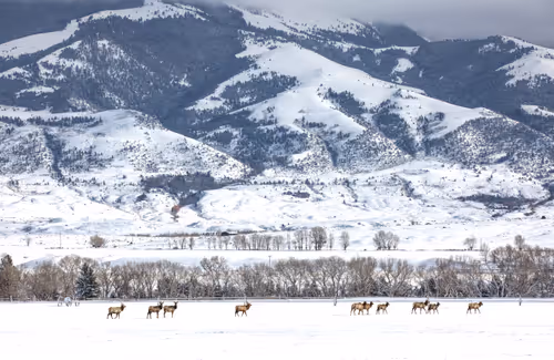 Item #19207338348144225692080396183640865546201068415206893468727031827776118194177 Media