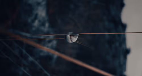 Item #94500202426587283003373425332027316729384686029729288065024406324864568262657 Media