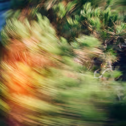 38495668349306452240688866721683925223246116077147746545727998352447978340452