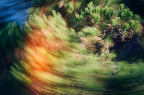 Item #38495668349306452240688866721683925223246116077147746545727998352447978340452 Media