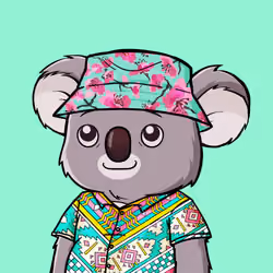 AriZona KoalaTEA Hawaii