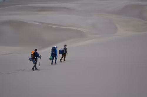 Item #78759855267669757072701224294171613718946034008137005967382106879668411957258 Media