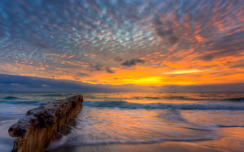 Item #5159867049349733485857806564982430960448309033464066462878907919338102063105 Media