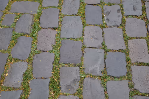 Item #916077490281078954391891268022086119289121145792755899354399215620636803073 Media