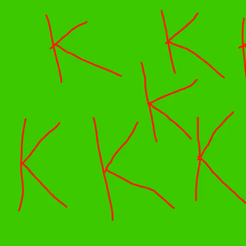 Ankit Kapoor