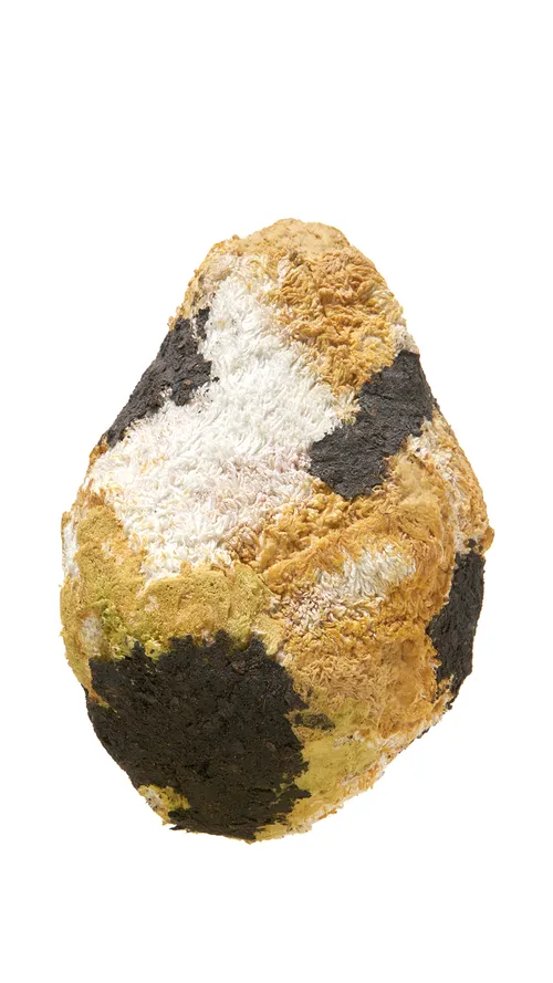 Item #53212739084474879624982794212504073154600685737409971486248687239901566992385 Media