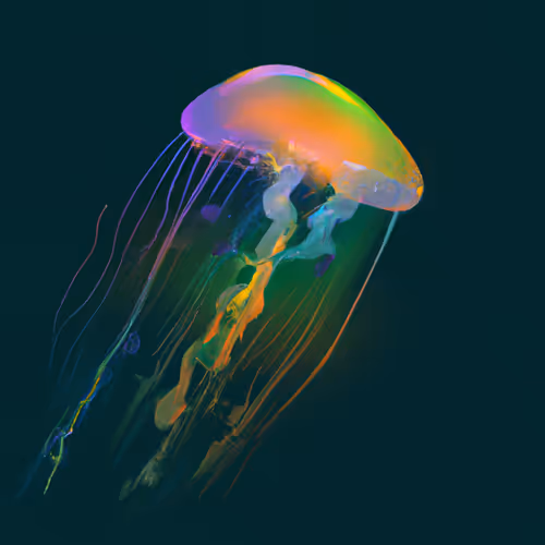 Item #104915446930039508649216872856751709575297748275186253171181648491732650688513 Media