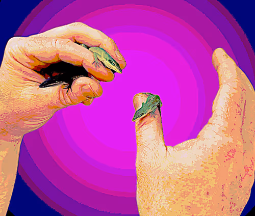 Item #25957952999505490552190567651766701552502686294615518920680207484839343947777 Media