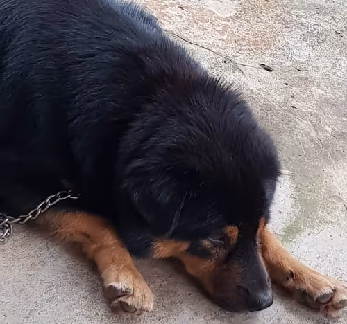 Item #56055091060271351536523847984853154360378800009370414984463609045976029855745 Media