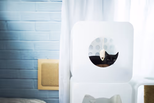 Item #12030096268944832383519200869739243025731728617049659890117429834736748986369 Media