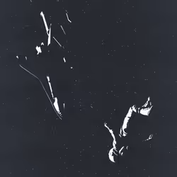 47054235586603430416428902981281289303545291861625266648489421798596832919553