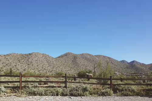 Item #13096118080668484178925037603520946098303857075781839603536531405106365595649 Media