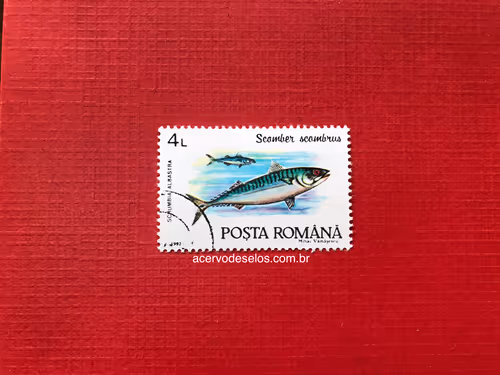 Item #20597586626667959385800891861414849022288511145256085744500515440723226525697 Media