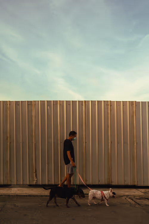 Item #105429247356524574513865010797091204123942859276429583682031123562456204443649 Media