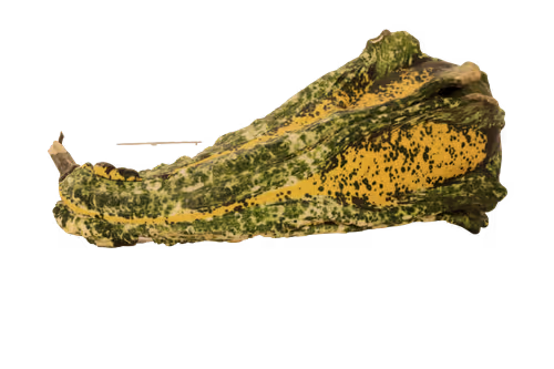 Item #35733408950682889513496686103591328439267245450055177033221291809828253990913 Media