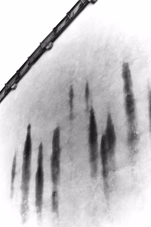 Item #95963115325190495901462437198116018062691407586283509903332718962907679817729 Media