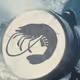 Prawn Beacons
