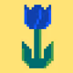 CryptoTulips