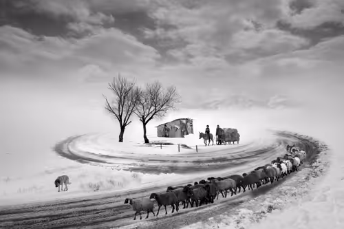 Item #73363223370355250909196244140857466626496998110185198638772903914731355504641 Media