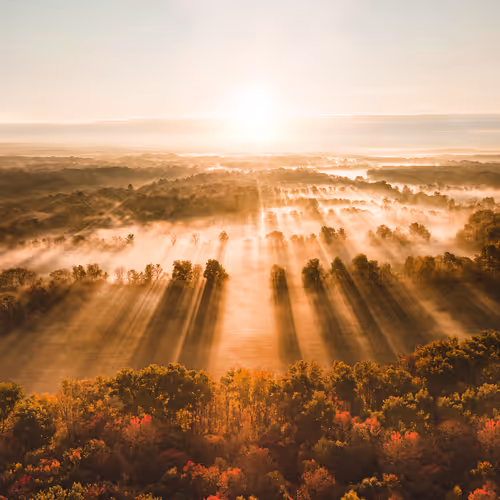 spreading the light