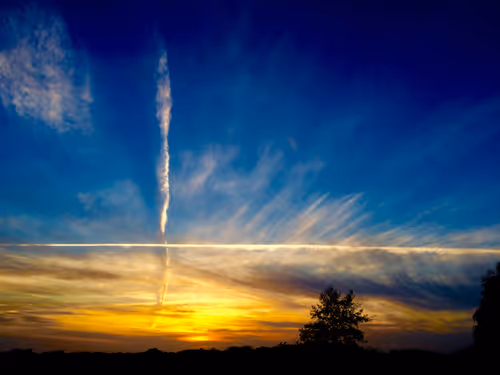 Item #79655167907517619364713975577317788096264741034631426669771217878931359137793 Media