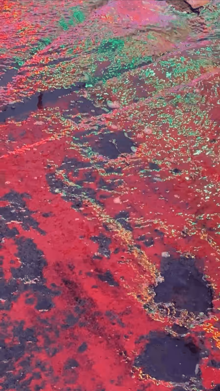 Item #62402000334580523921237358418718502457721815832787791947048085105680597385217 Media