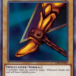 RIGHT LEG OF THE FORBIDDEN ONE