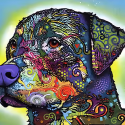 My Dog #4
