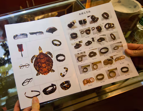 Item #19423020084367329247398987968940063498648581298497549755803292996970357981194 Media