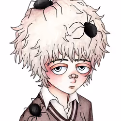 Spider Boy