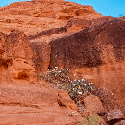 Antelope  Canyon