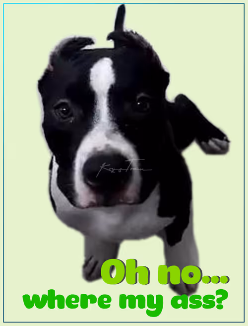 Item #103606411814514267144441239329390381368364317226309774540220525443770306527233 Media