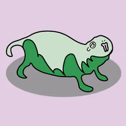 ハダカデバネズミ　Heterocephalus glaber