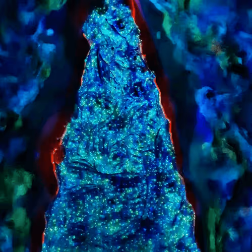 SerratedBaNFT the Elevation of the NFT as Original Art