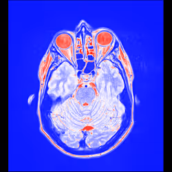 64162533542198579898252916190583583845604629893829087458582976155910343229441