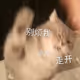 aaa7