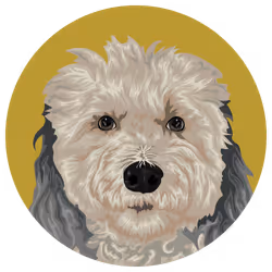 54766349128176429303044182404049584425310907481653304317570413896847471935489