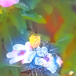 Kingdom Flowers