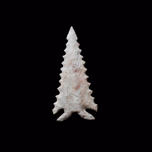 73012537247702807532369324926658446839130533184421937656810479195523070820353