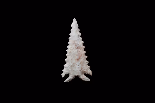 Item #73012537247702807532369324926658446839130533184421937656810479195523070820353 Media