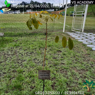 Item #8500196597889277390194123329501889087166328879864934763448348825915337211905 Media