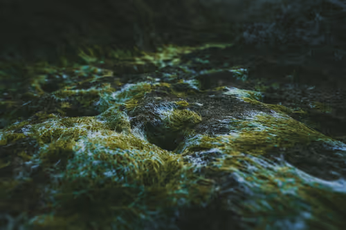 Item #96927138123694371990624378573919196862016558693078256504060925342644577501185 Media