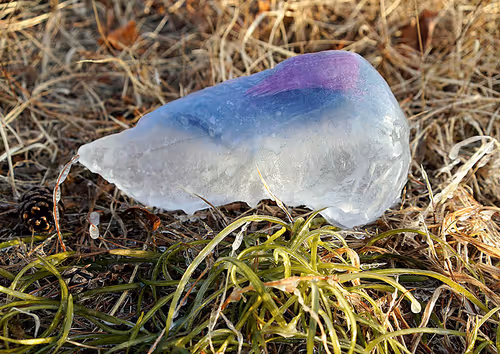 Item #56287295829887504958862107058149038286908875218999637654997635497340795092993 Media