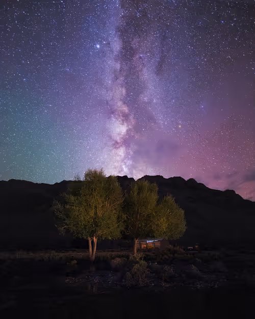 Item #9425749833926335333001150146280296056948702908253502131347533666149969428481 Media