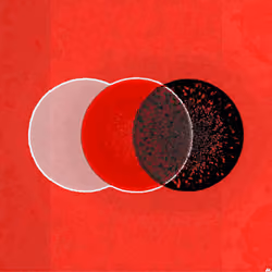Eclipse #13: "Rage"