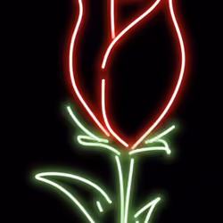 Rose with 2 fingers #3