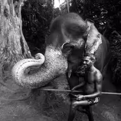 84834639463328091260484975677994672960317612935287513554023817932097447788545