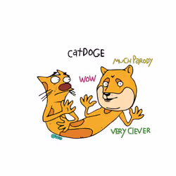 CATDOGE