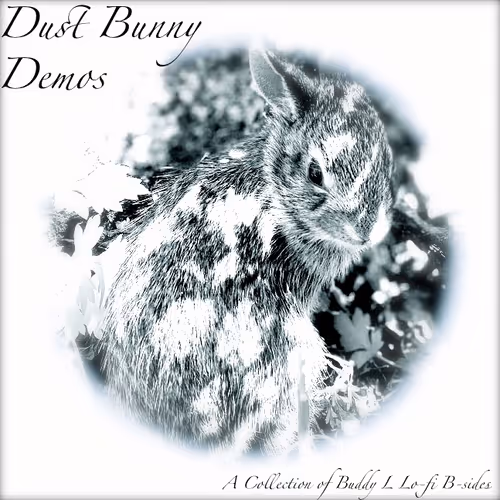 Dust Bunny Demos A Collection Of Buddy L Lo Fi B 1