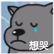 doge01 Collection